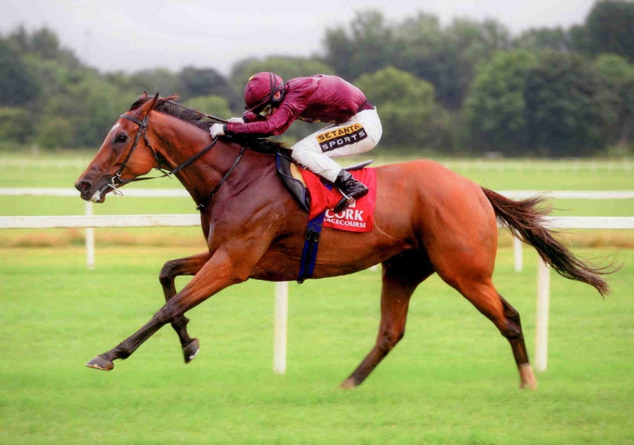 Brendan Brackan - Platinum Stks Listed Cork Tues 5th August 2014
